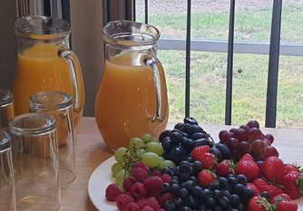 Orange Juice and Fresh Fruit